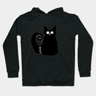 Fluffy cat named Cookie Hoodie